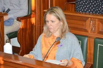 Sesión plenaria correspondiente al mes de noviembre (Foto Francisco Javier Santana)